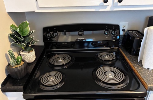 Burlington Apartment | Charming 1 Bedroom, 1 Bathroom Apartment