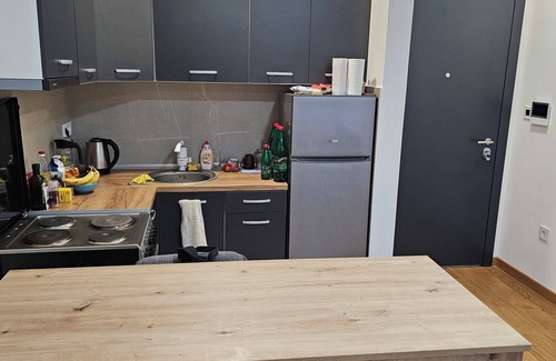 Novi Sad Apartment | Charming 1-bedroom apartment with AC, WiFi in awesome Novi Sad