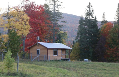 Green Mountains Cabin | Charming 1-bedroom Tiny house in Eden Mills. Spectacular views, private setting.