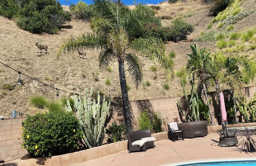 Sun Valley House | Charming 1-bedroom in lovely Glen Crest Hills with pool, culdesac