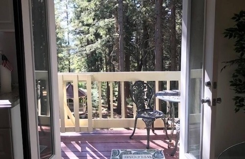 Nevada City Apartment | Charming 1 Bedroom Haven in the Trees