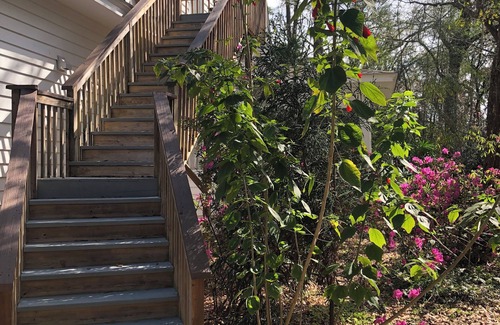 Tallahassee Apartment | Charming 1-bedroom apartment minutes to FSU and downtown, convenient to I-10