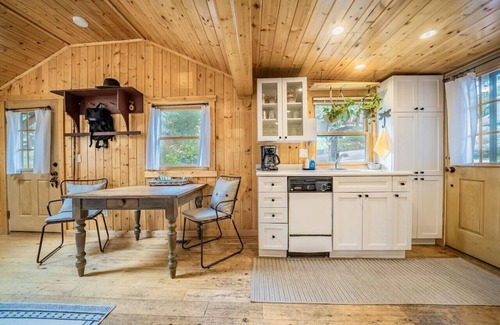 Estes Park Cabin | Charming 100 year old cabin w/hot tub & fireplace