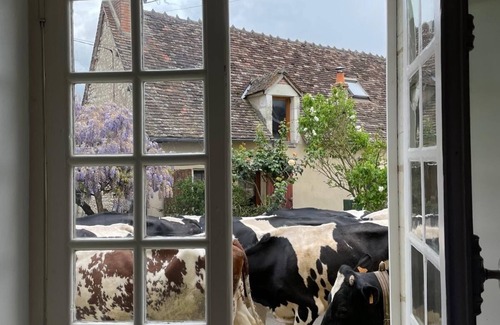 Neons Sur Creuse House | Charming 17th-century house ideal for family vacations