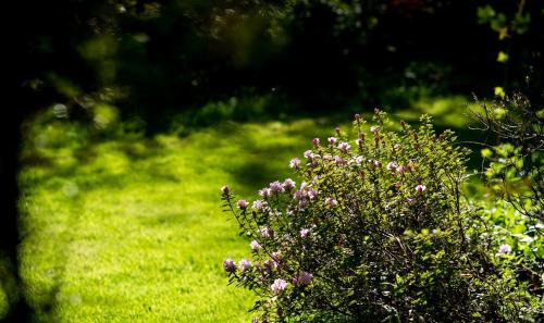 Thirsk House | Charming 18th Century property