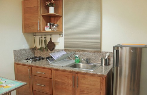 Ciudad Nueva Apartment | CHARMING 1BR APT WALKING DISTANCE TO COLONIAL ZONE