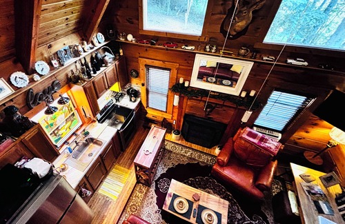 Franklin Cabin | CharMing 2-BeD CoZy CaBin w-WiFi, AC & FiRe PlaCe, CenTraL to 3 LoCal MTN.Towns
