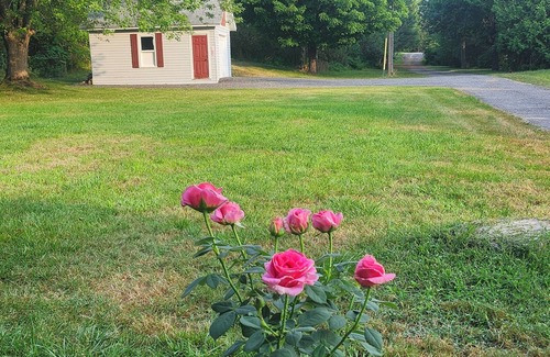 Greater Napanee House | Charming 2-bedroom All secession duplexhouse in Greater, Napanee with AC,
