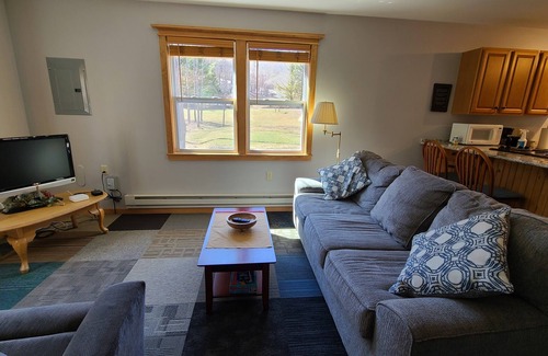 Turtlepoint Cabin | Charming 2-bedroom, 1 bath cabin along a stocked trout stream in God's Country!