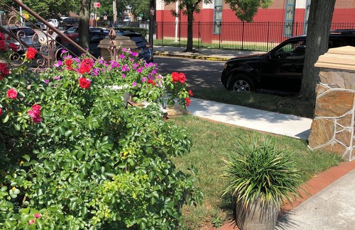 Queens Apartment | Charming 2-bedroom apartment with AC, WiFi in Queens - rooms to rent