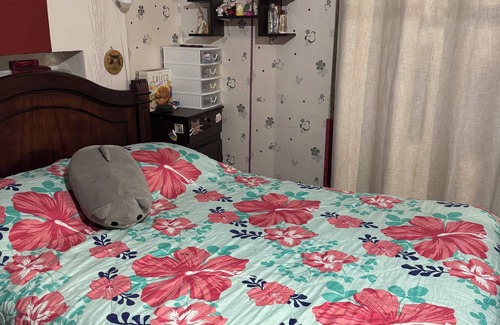 Downtown La Paz Apartment | Charming 2-bedroom apartment with WiFi in La Paz