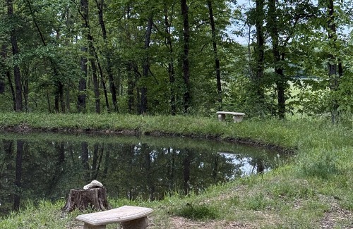 Elkland Cabin | Charming 2-bedroom cabin with WiFi, AC near marvelous Pleasant Hope, Mo.