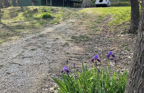 Deer Cabin | Charming 2-bedroom cabin in Deer with AC, WiFi