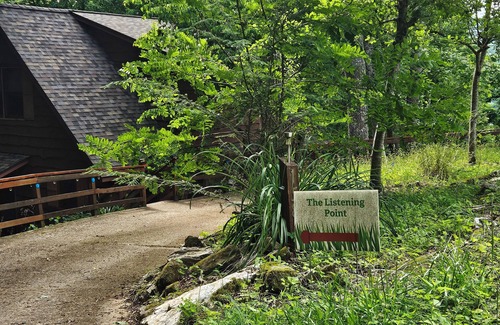Topton Cabin | Charming 2-bedroom cabin in Topton