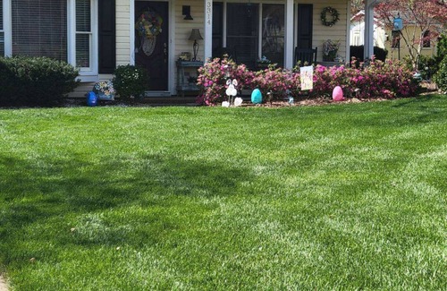 Greensboro House | Charming 2-bedroom house with office in Greensboro NC