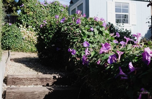 Vallejo House | Charming 2-bedroom home in quiet neighborhoodnn