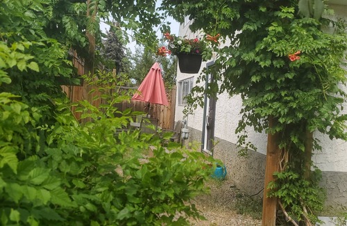 Southwest Mission House | Charming 2-bedroom house in beautiful Kelowna with WiFi, AC