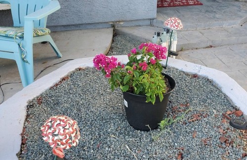Palmdale House | Charming 2-bedroom house with WiFi, AC in lovely Palmdale