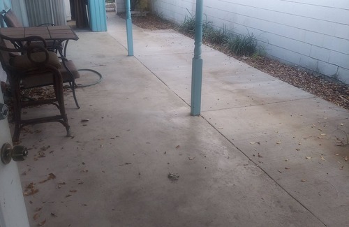 Arlington Park House | Charming 2-bedroom house in amazing Sarasota close to all yet quiet.petfriendly