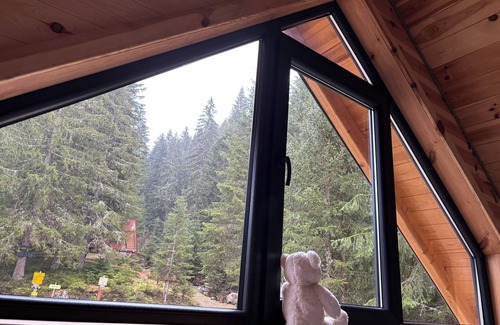 Montenegro Cabin | Charming 2-bedroom cabin in amazing Babino Polje with WiFi