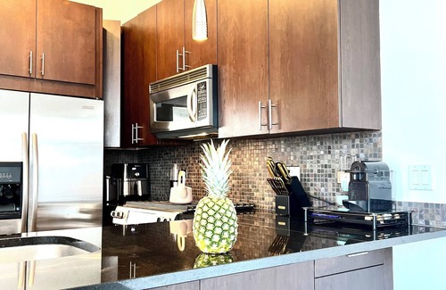 Near West Side Apartment | Charming 2-bedroom penthouse with a rooftop in pleasant Chicago with WiFi, AC