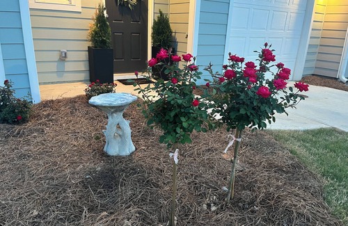 Cartersville Condo | Charming 2-bedroom condo in peaceful Cartersville with Neighborhood Coffee Shop