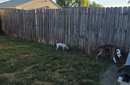 New Brighton House | Charming 3 Bed/2 Bath House in North Park - Fenced Backyard & Pet Friendly!" or