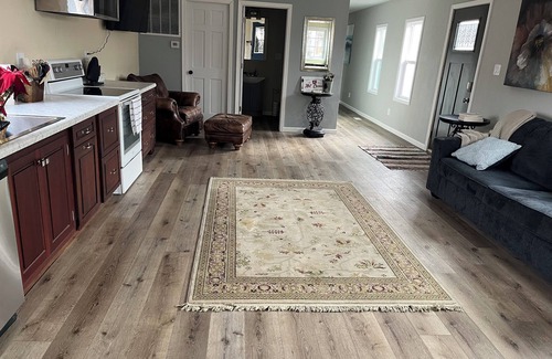 Lakeside House | Charming 3-bedroom 2-bath house in Lakeside with WiFi and AC