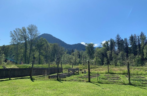 Blue River Cabin | Charming 3-bedroom cabin on Dearborn Island with WiFi, AC, Hot Tub