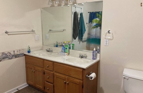 Counce House | Charming 3-bedroom cabin with AC, WiFi near Savannah river. Picwick campground