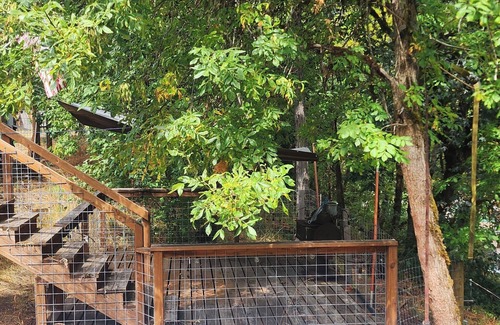 Glide Cabin | Charming 3-bedroom cabin on Little River near 8 picturesque water falls