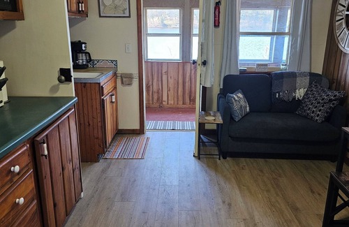 Newaygo Cottage | Charming 4-bedroom cottage 4 & 5