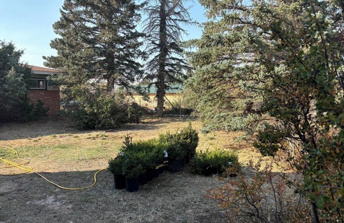 Laramie Cottage | Charming 4-bedroom cottage in Laramie.