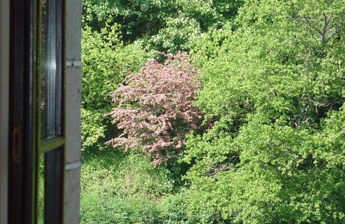Pontivy House | Charming 4 * riverside accommodation near Pontivy Blavet Valley