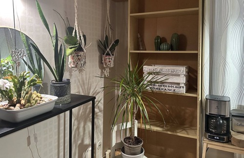 Skarholmen Apartment | charming affordable simple suite