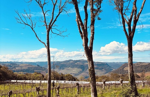 Monte Belo do Sul Cottage | Charming and sustainable cottage in fabulous Monte Belo do Sul, RS.