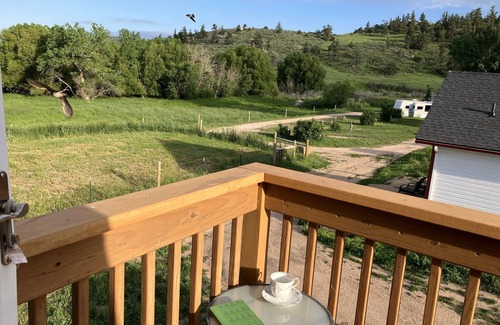 Livermore Cabin | Charming and Spacious, this three level cabin is near Red Feather Lakes Colorado