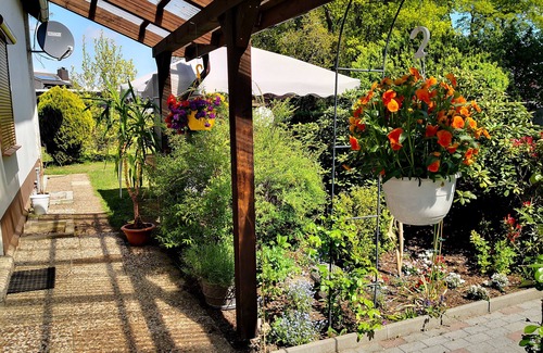 Wulsbuttel Apartment | Charming apartment for up to 5 guests