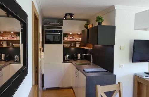 Les Almes Apartment | Charming Apartment - 2 Bedrooms - Tignes Le Lac - Lake View
