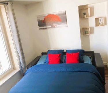 Saint Nicolas - Charles III - Ville vieille - Trois Maisons - Leopold Apartment | Charming apartment in Nancy city center