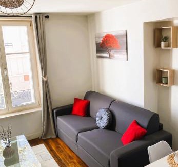 Saint Nicolas - Charles III - Ville vieille - Trois Maisons - Leopold Apartment | Charming apartment in Nancy city center