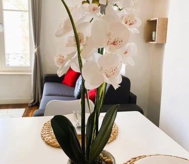 Saint Nicolas - Charles III - Ville vieille - Trois Maisons - Leopold Apartment | Charming apartment in Nancy city center