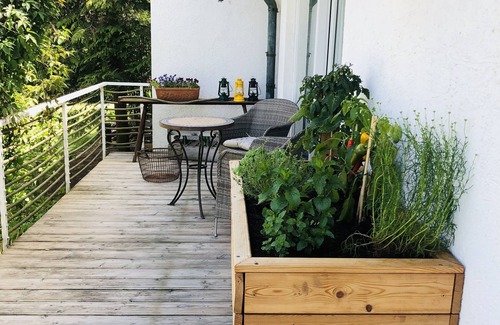 Jechtingen Apartment | Charming apartment with barbecue area directly on the vineyard