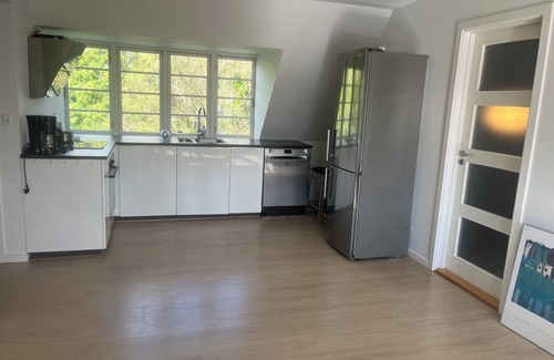 Odense Condo | Charming Apartment with Lake View, Tennis Court- 5 Minutes from Odense Center