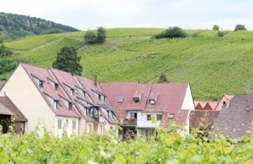 Riquewihr Apartment | Charming apartment with vineyard view