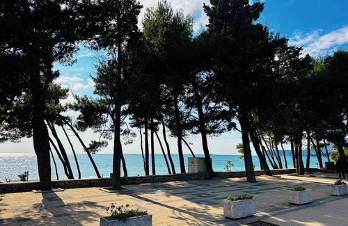 Bar Apartment | Charming apartment with WiFi, AC in fabulous Bar