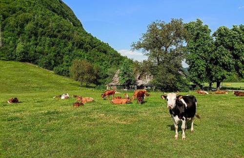 Studor House | Charming blacksmith`s house @ Lake Bohinj