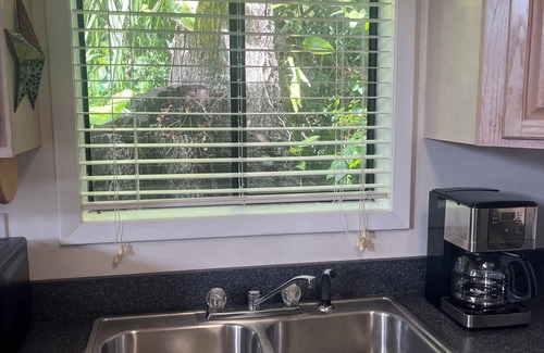 South Daytona House | Charming bungalow with WiFi and AC in fantastic South Daytona