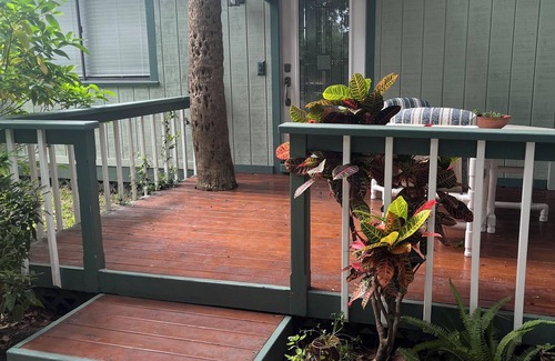 South Daytona House | Charming bungalow with WiFi and AC in fantastic South Daytona