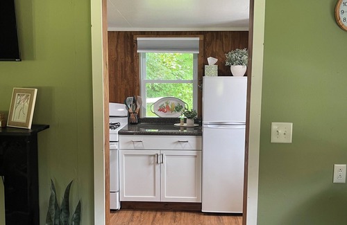 Painted Post Cabin | Charming cabin for 2 near Corning-Watkins Glen NY, quiet, great location.
